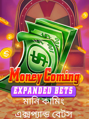 66zz গেমিং প্ল্যাটফর্মে বাংলাদেশে খেলার ব্যানারটি